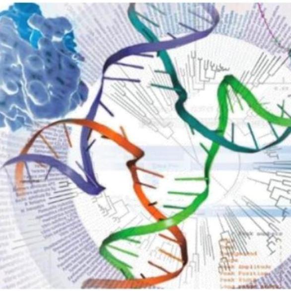 bioinformatics 15-16